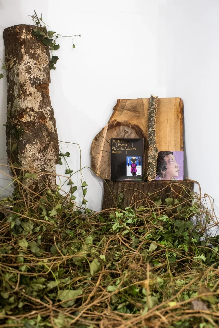 Shade is A Place: Shade Equity &amp; Arboreal Stewardship