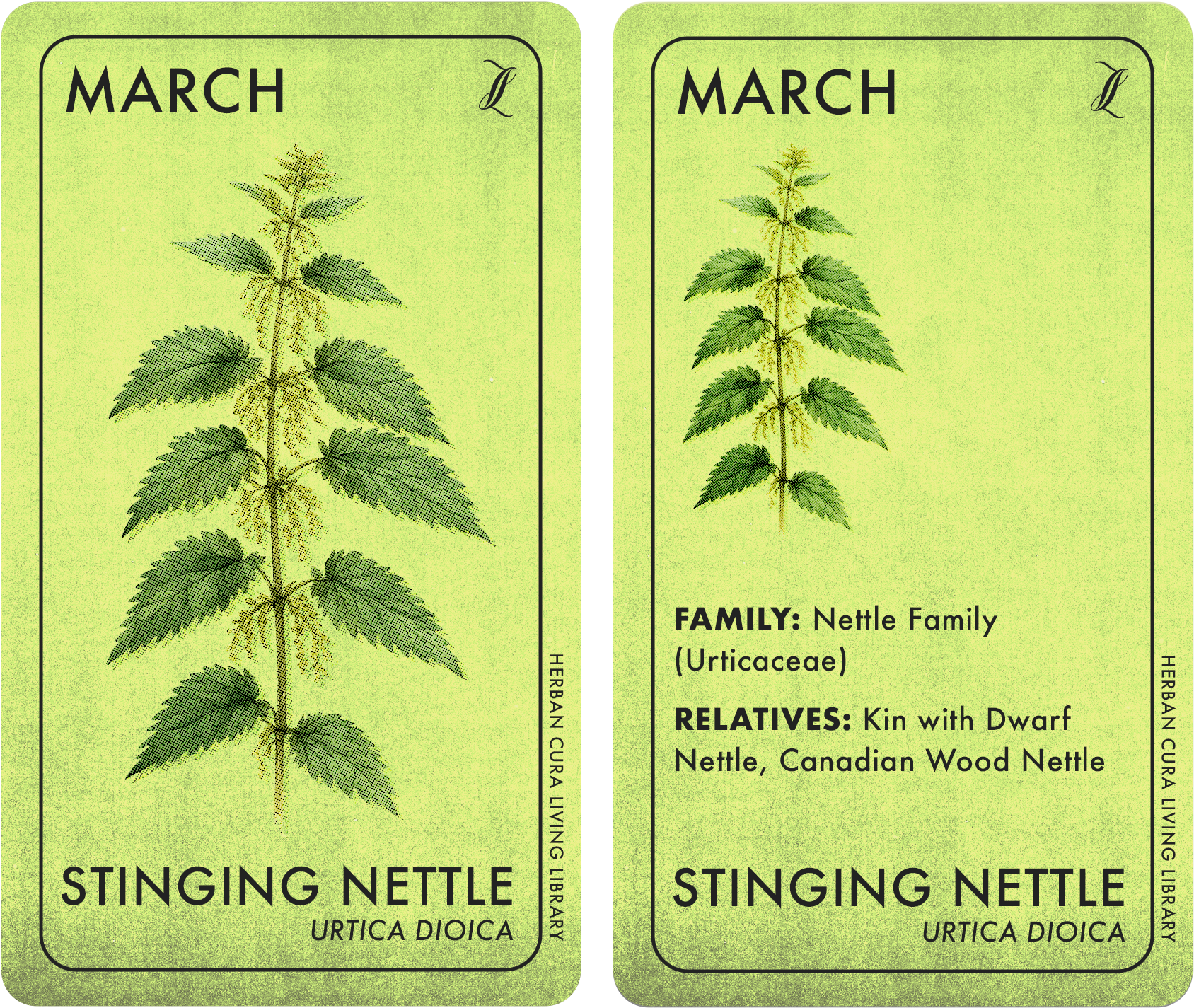 PlantCard_Both copy.png