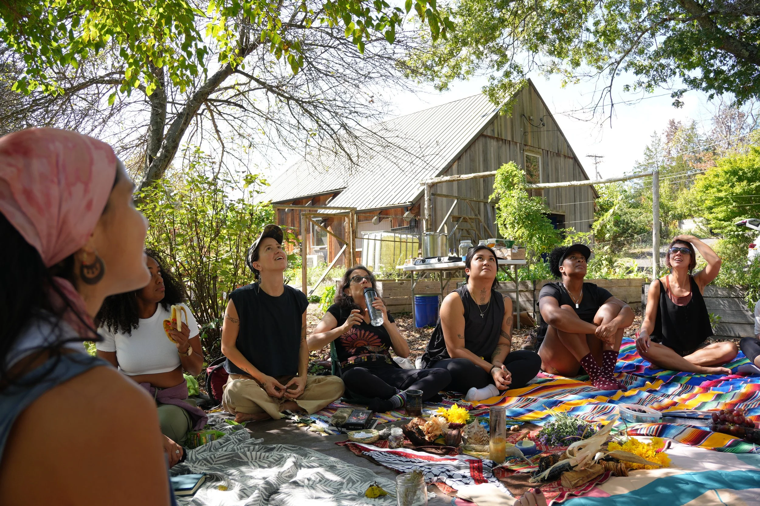 Herban Cura: Hudson Valley Spring intro to Herbalism Immersion