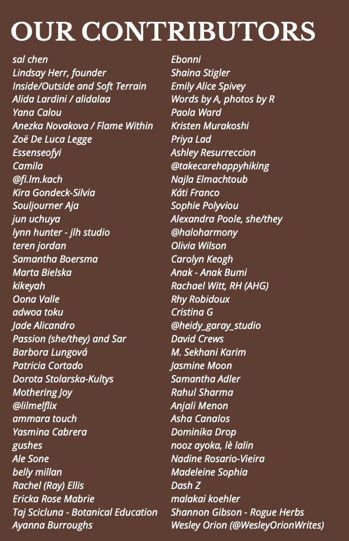 Screenshot 2026-02-13 at 1.35.03 PM.png