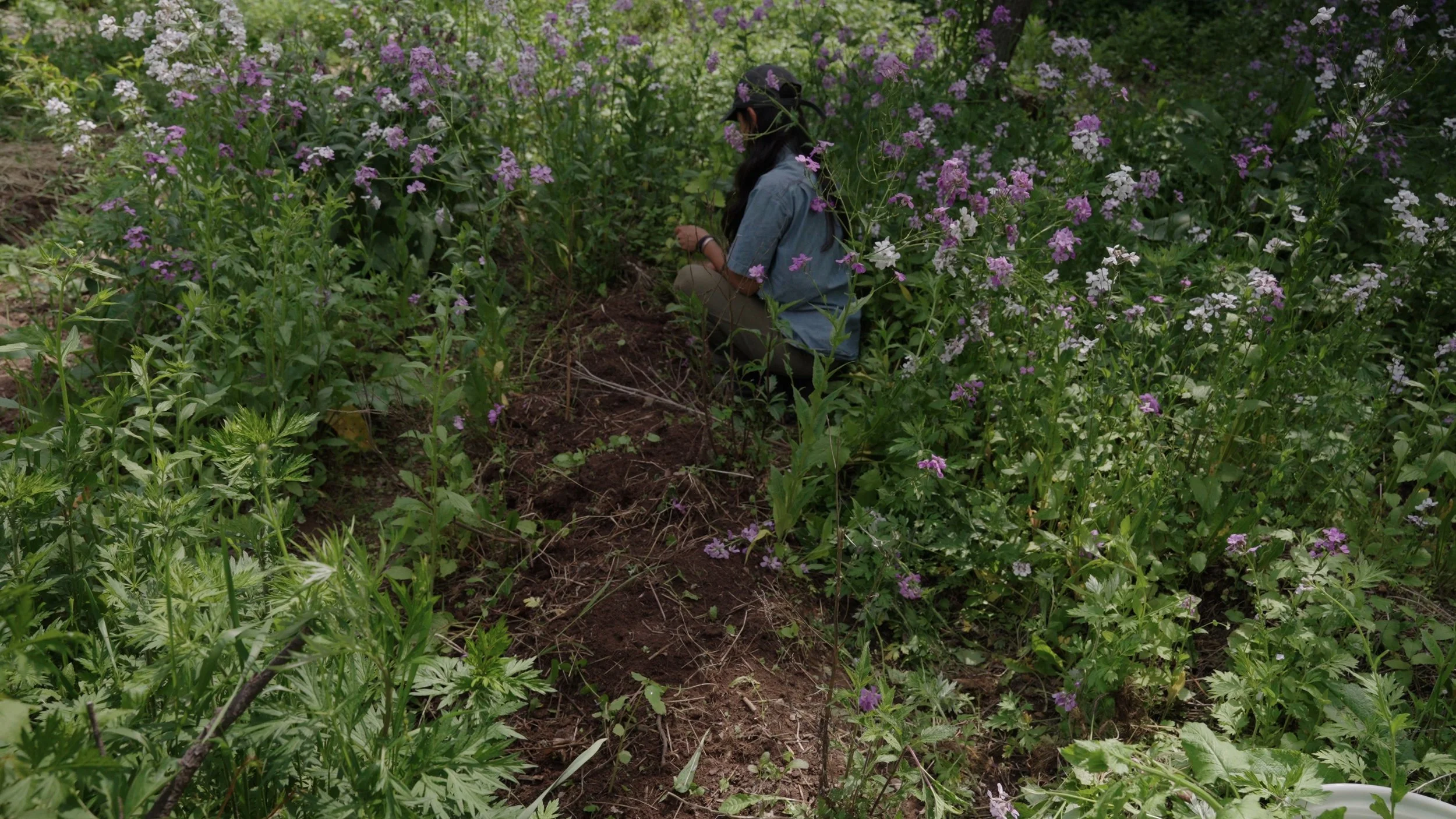 Land Tending Day