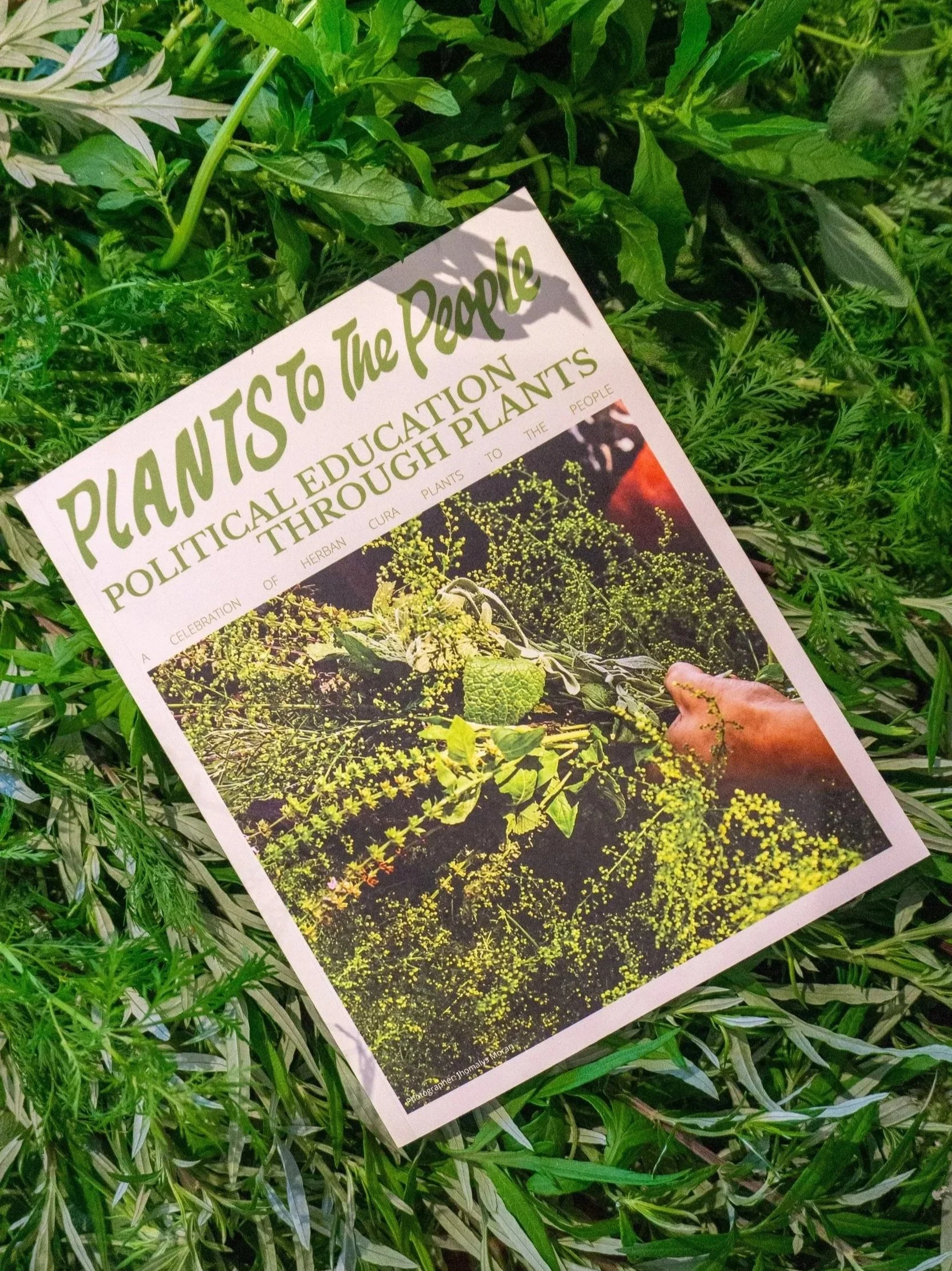 Plants to the People: Political Education Through Plants
