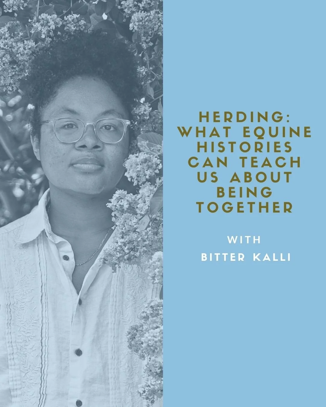 Live Knowledge Shares