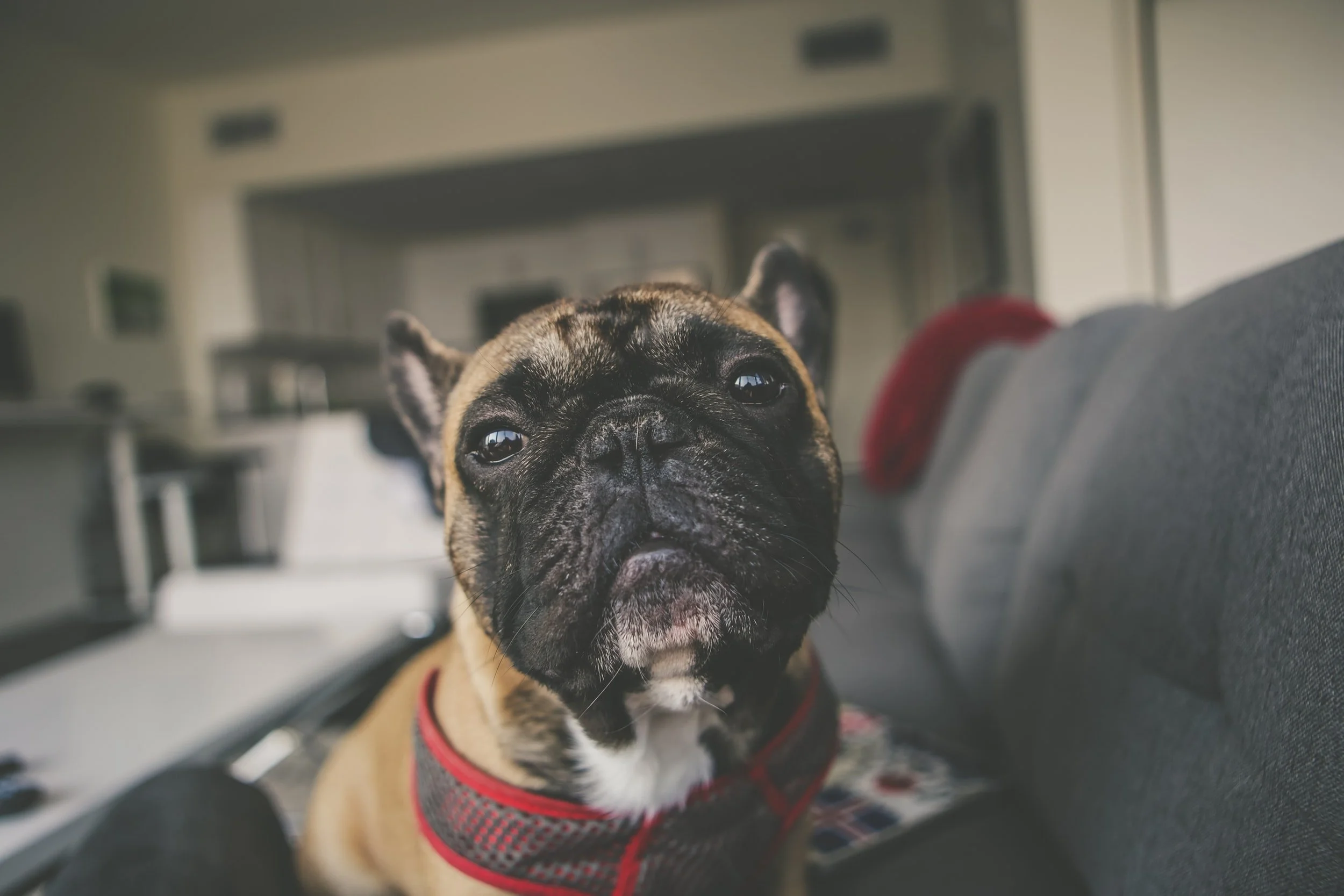 unsplash-image-43dH8h1uaAQ.jpg
