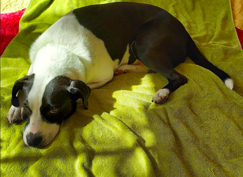 Screen Shot 2023-12-05 at 9.32.14 PM.png