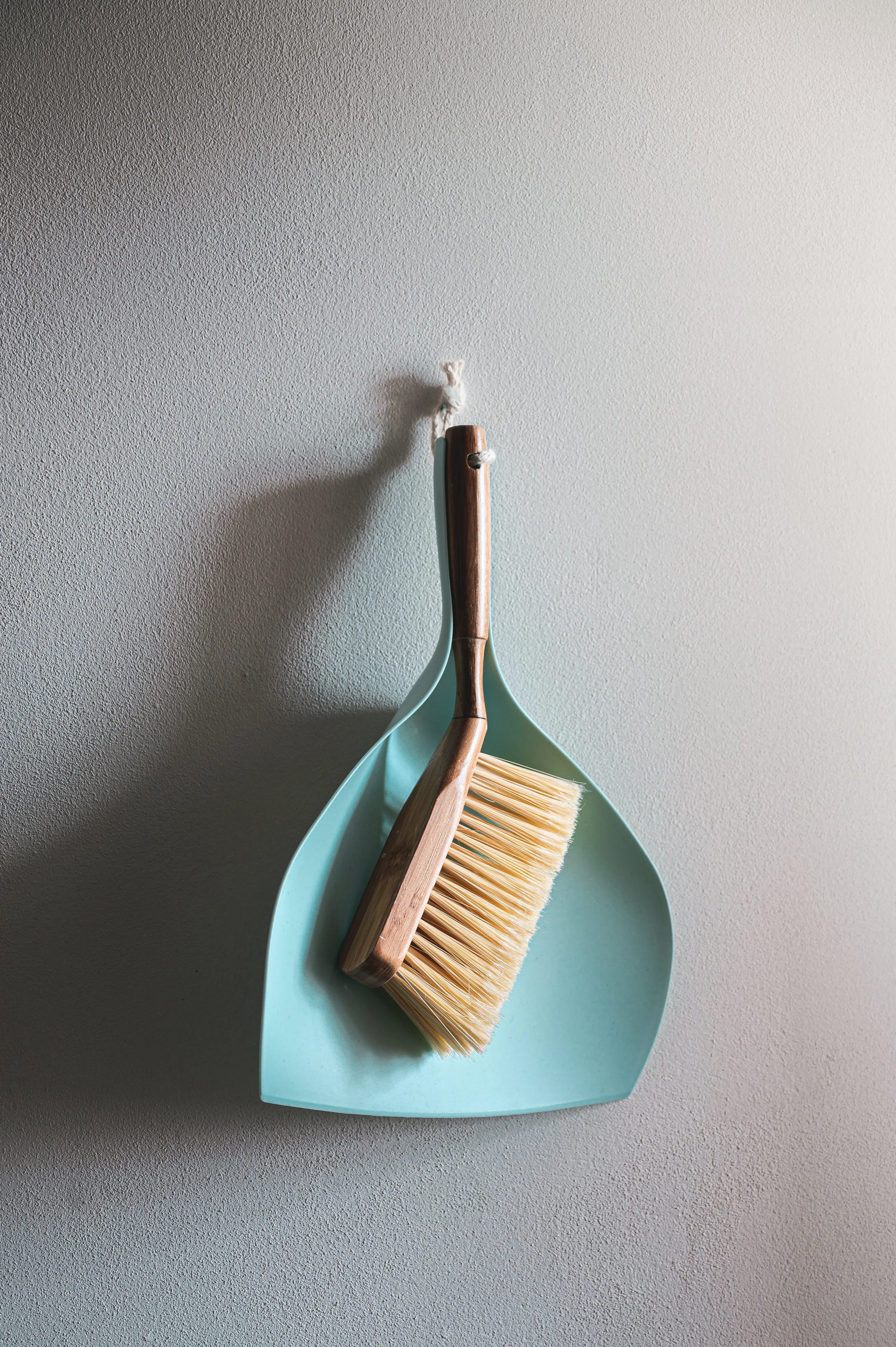 TIPS, RESOURCES, AND LINKS FOR FALL CLEANING