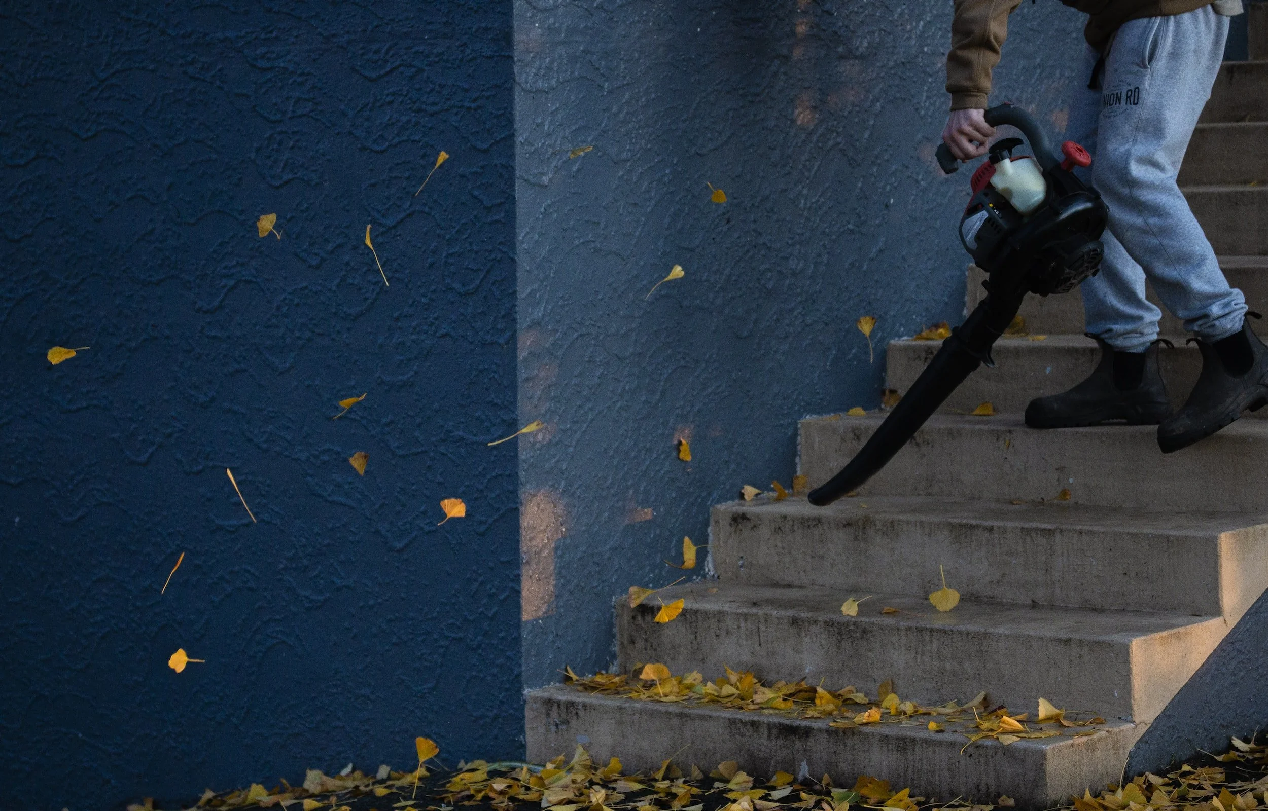 Metaphorical Leaf Blowers