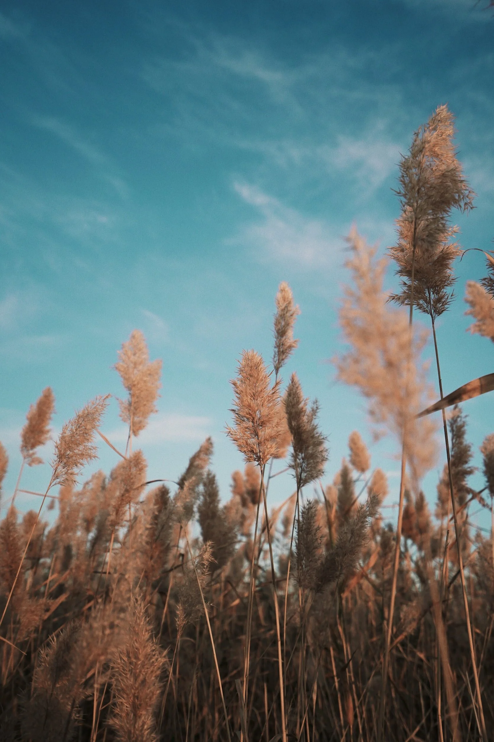 No News Isn't Always Good News