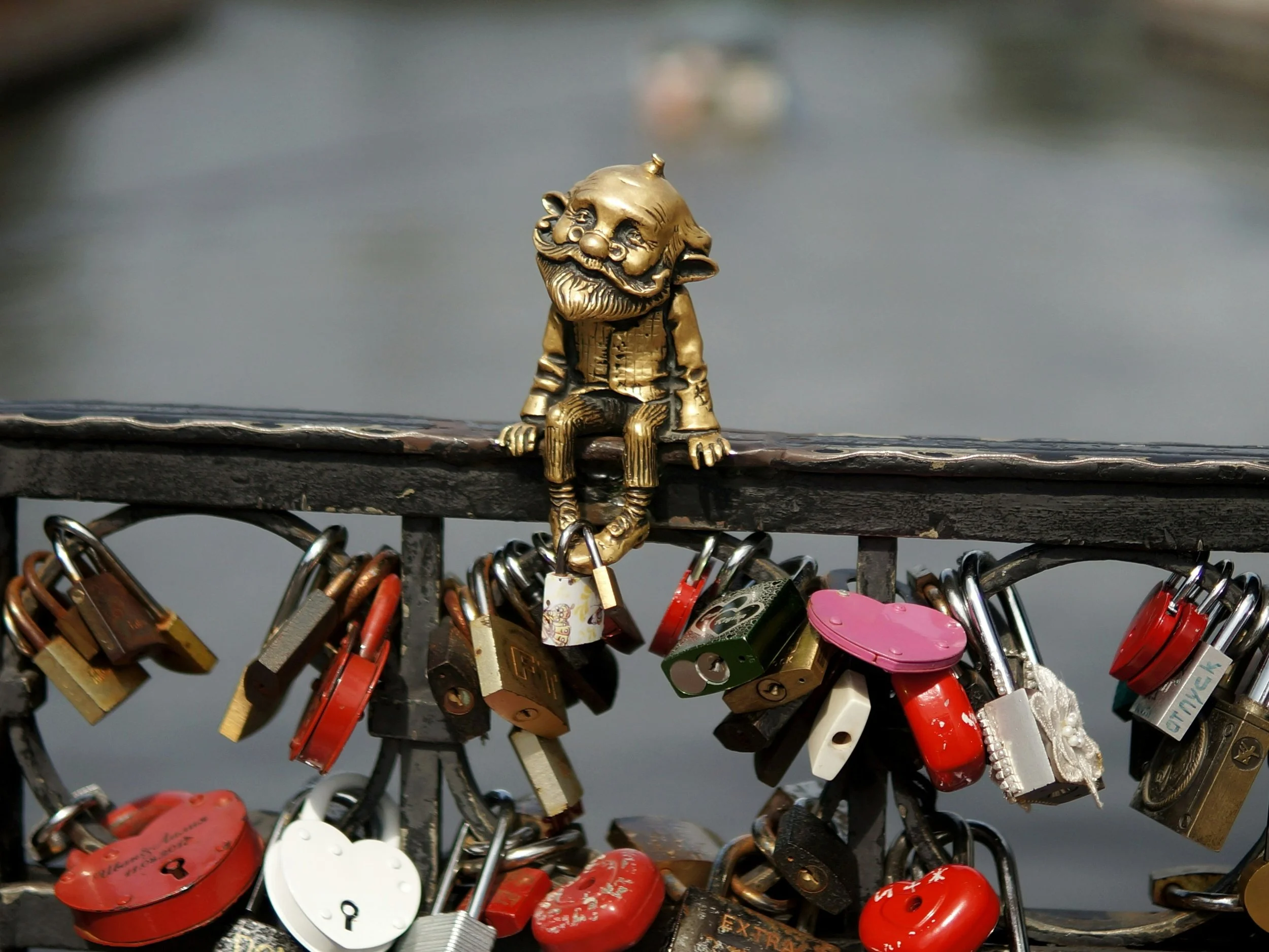 What are you looking forward to?