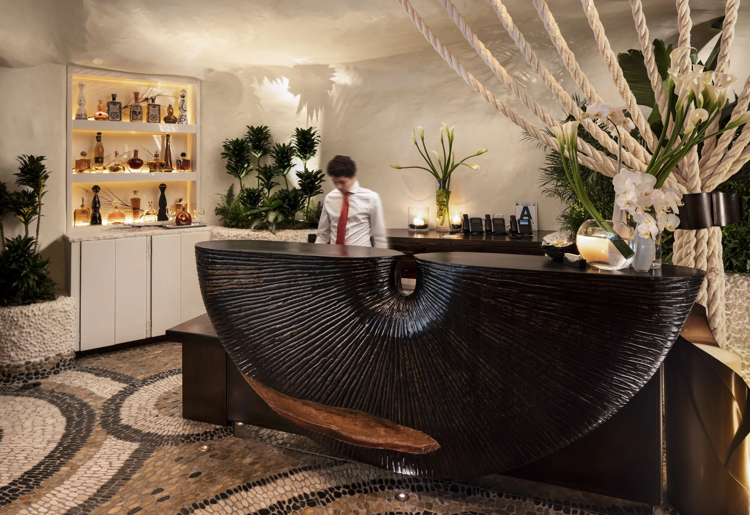 javier's la jolla — PETERMAX CO