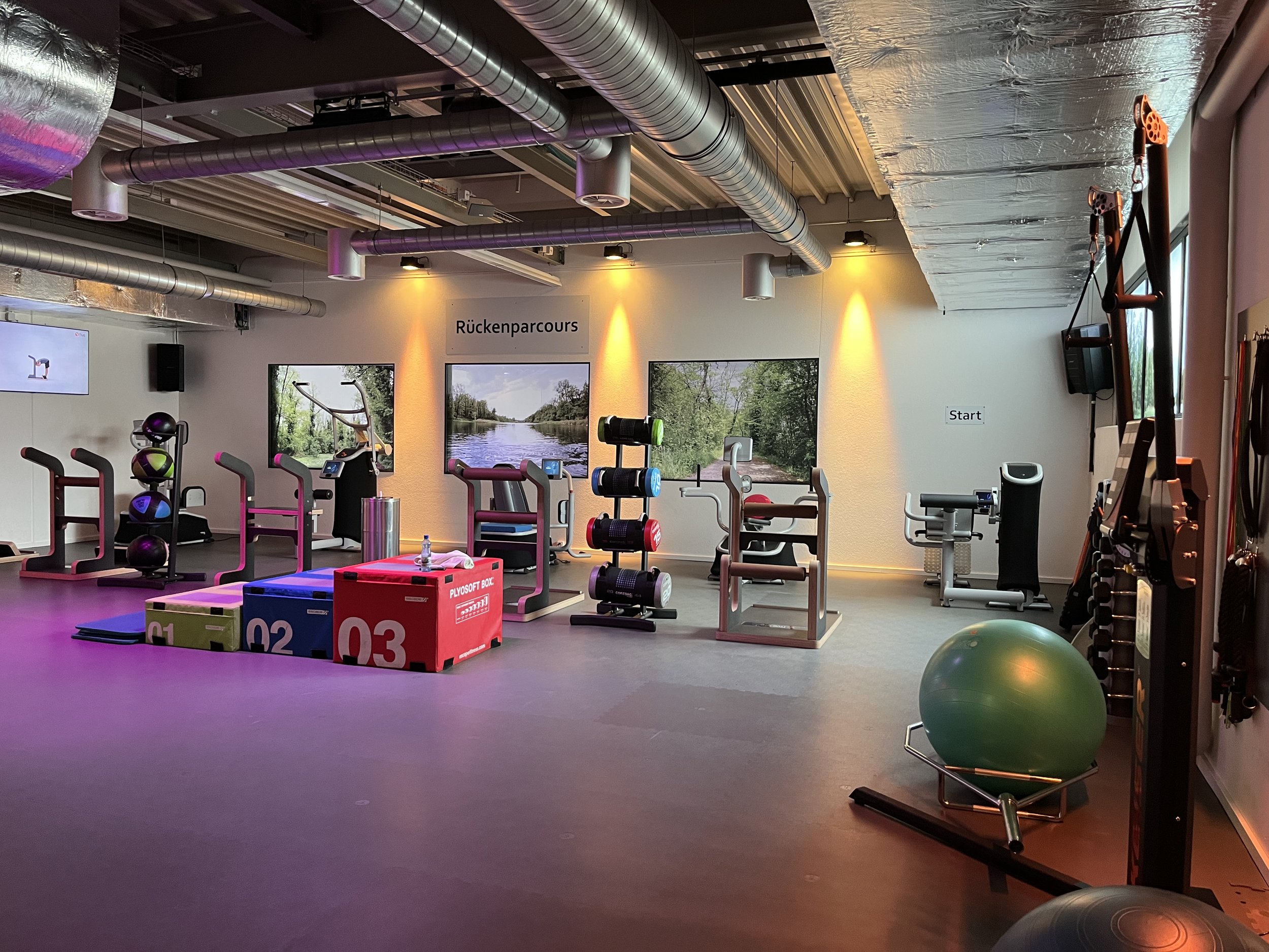 OMNIA Physio Siggenthal (6).jpeg