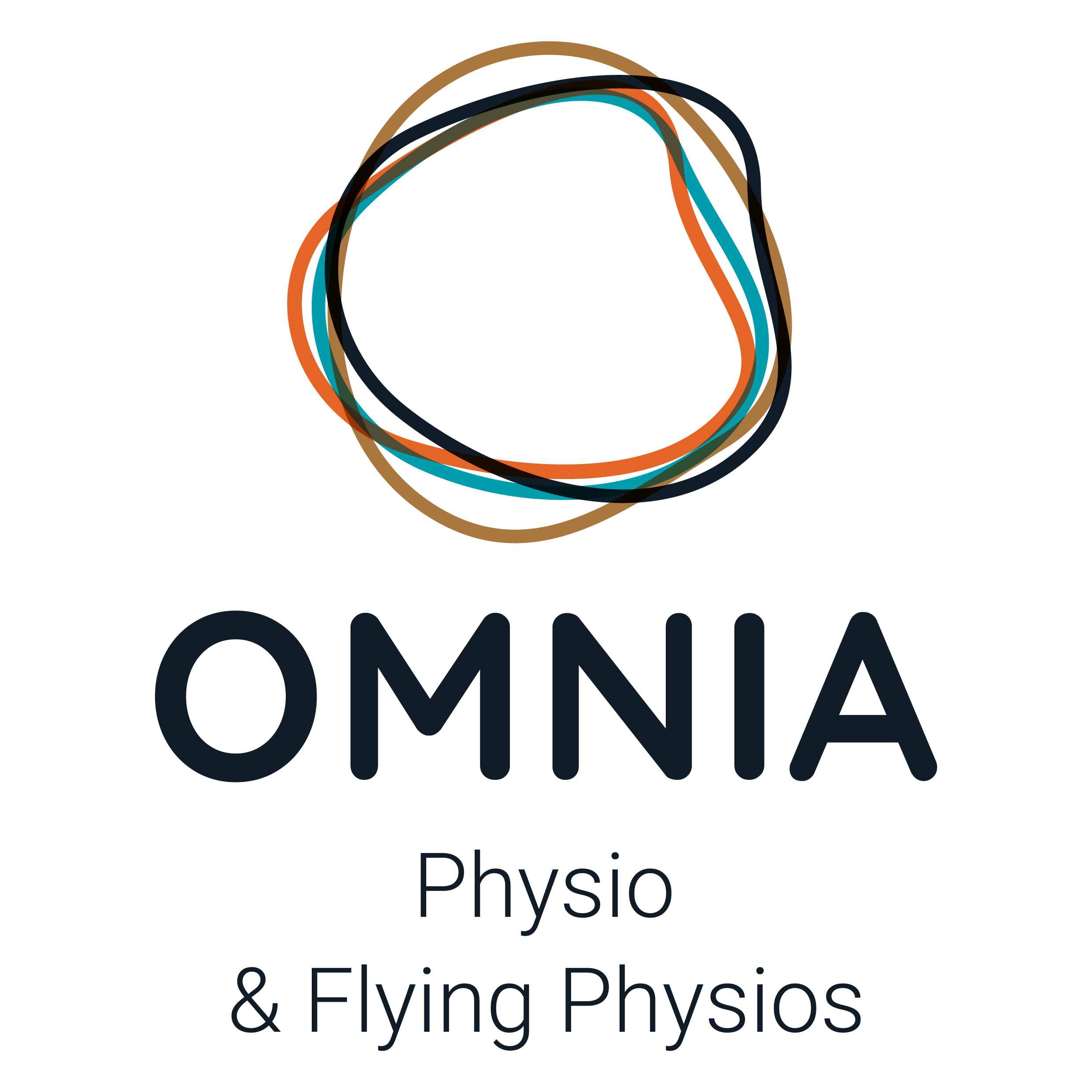 Logo für OMNIA Physio & Flying Physios mit einer geometrischen, verschlungenen Kreisanordnung in Braun, Blau, Orange und Schwarz, und dem Text 'OMNIA Physio & Flying Physios' darunter.