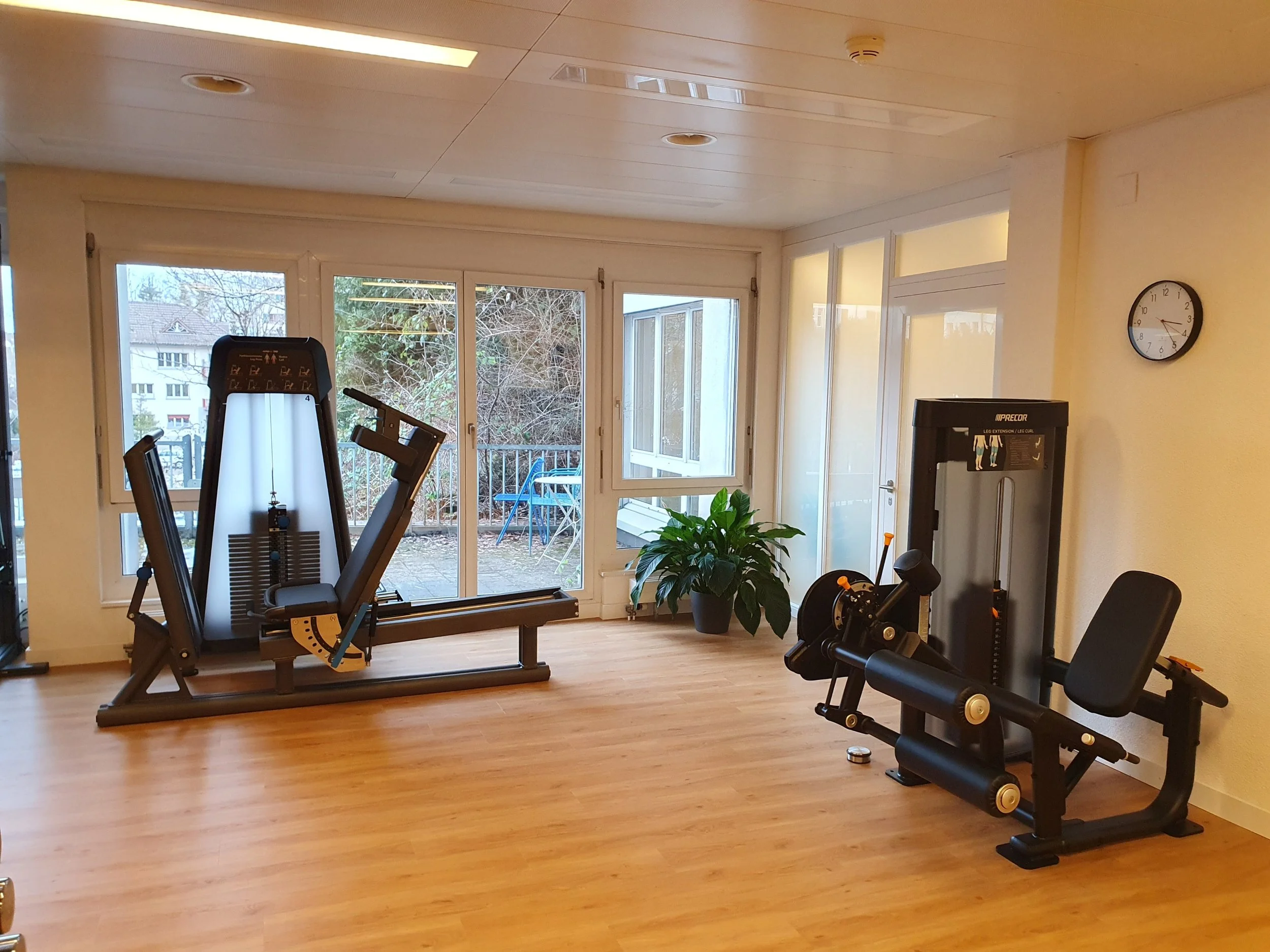 Ein Fitnessraum mit Holzfußboden, großen Fenstern, einer Pflanzen im Vordergrund, und verschiedenen Trainingsgeräten, darunter ein Rudergerät und ein Kraftstation.