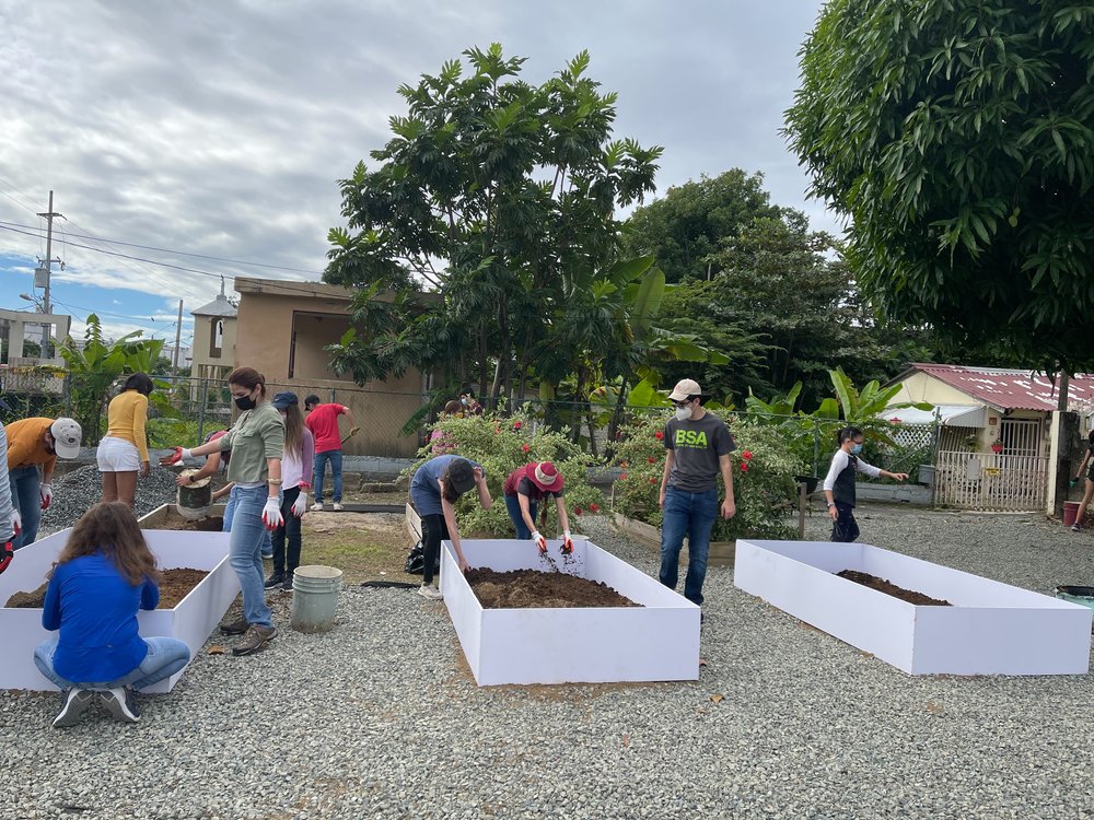  Baldwin students and AD&amp;V team volunteers planting 