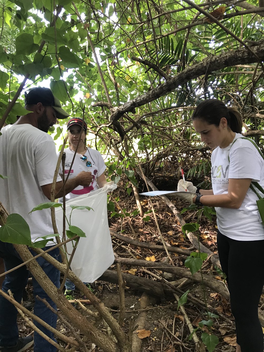  AD&amp;V team members picking up trash at cleanup 