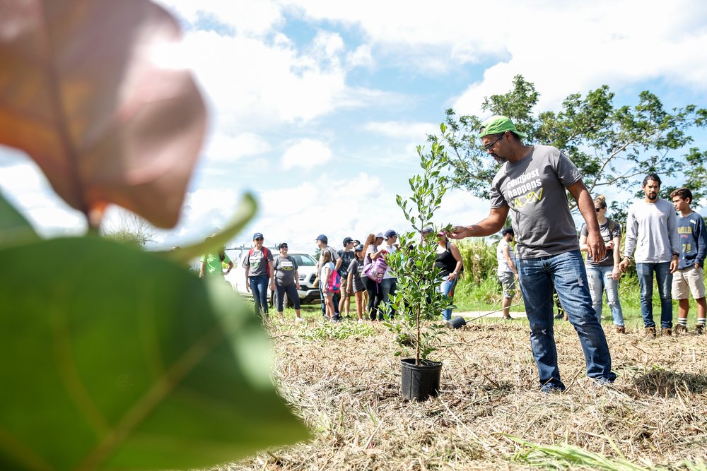  Volunteers planting trees 