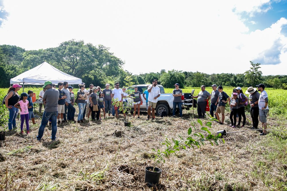  Volunteers planting trees 