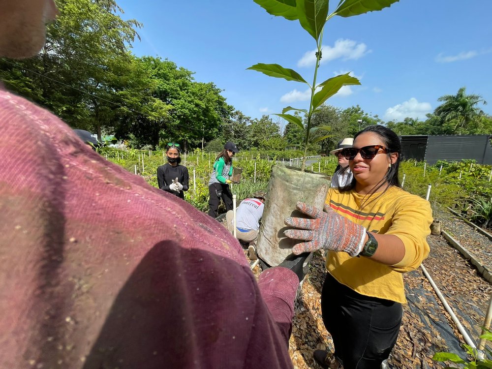  AD&amp;V Team member passing a growing tree to another Team member. 