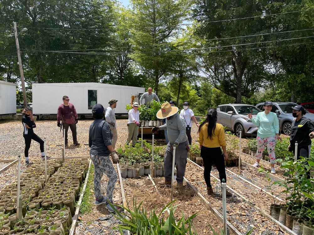  The AD&amp;V Team taking care of growing trees. 