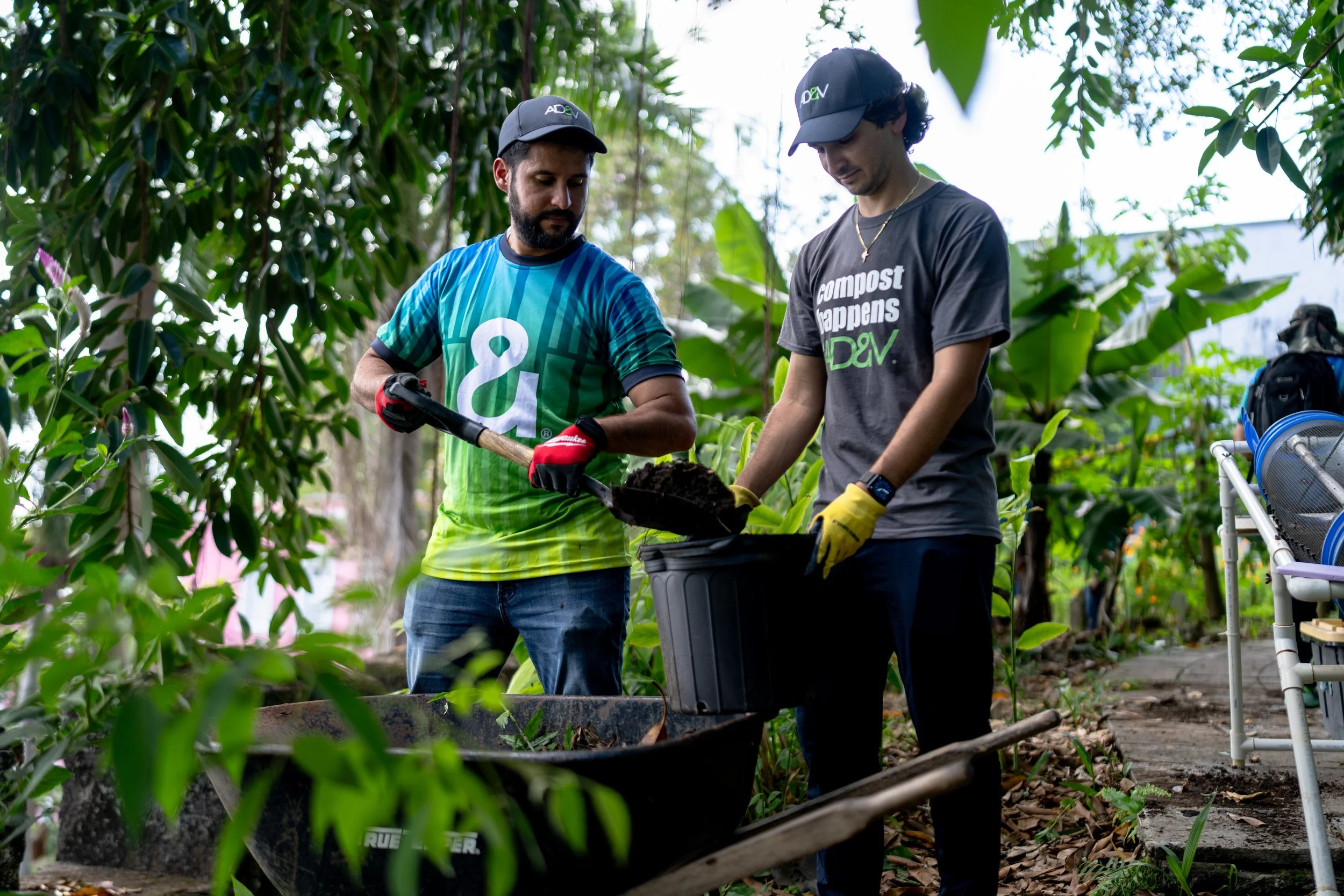 AD&V team planting trees.