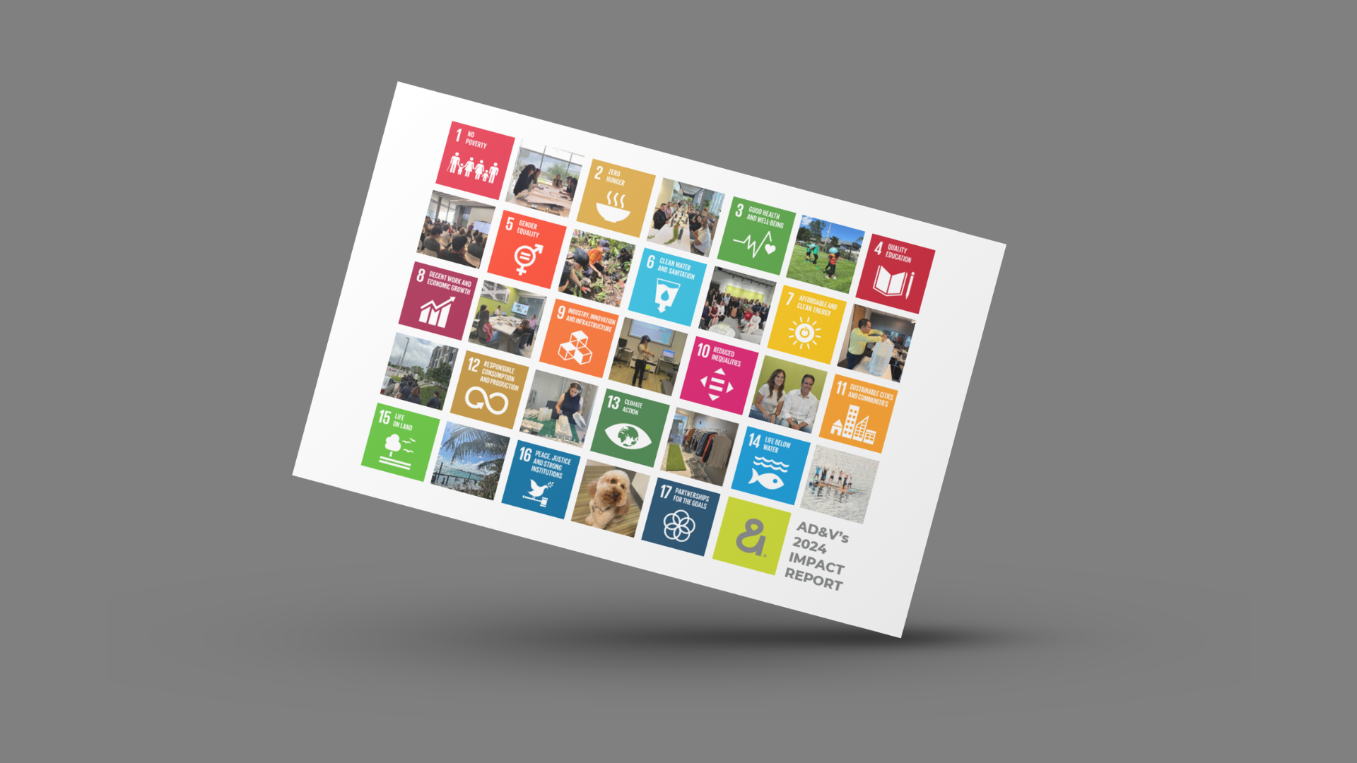 Cover of AD&V's 2024 Impact Report.