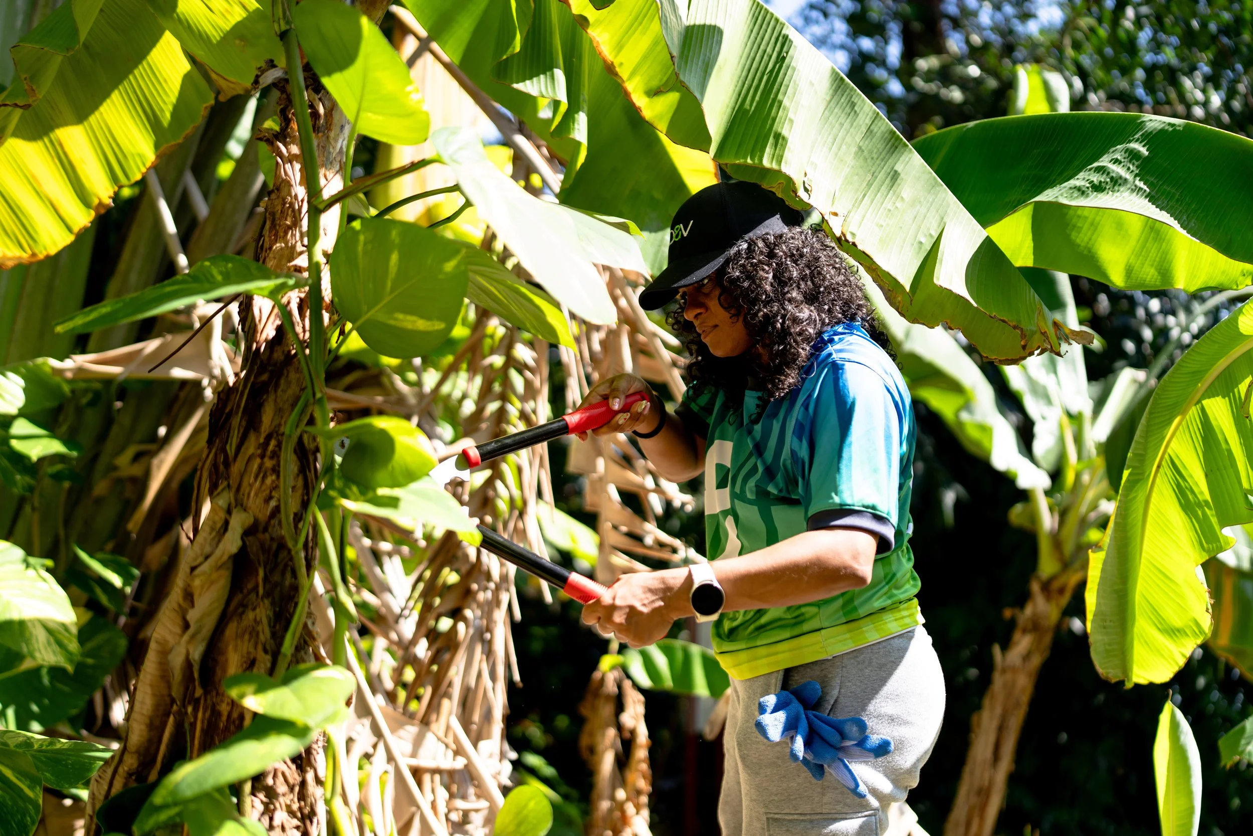 AD&V team member giving maintenance to trees.