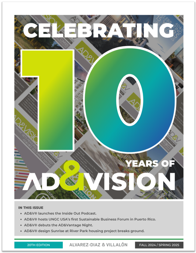 Cover page of the AD&Vision 20th Edition publication.