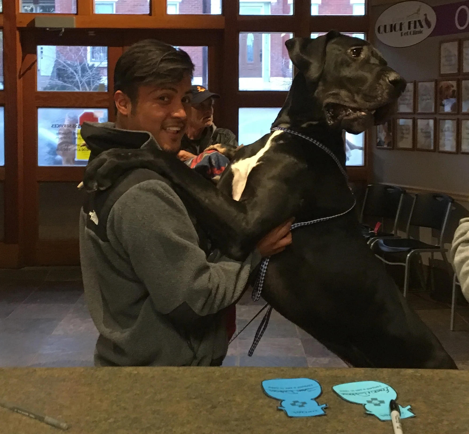 Carol House Quick Fix Pet Clinic