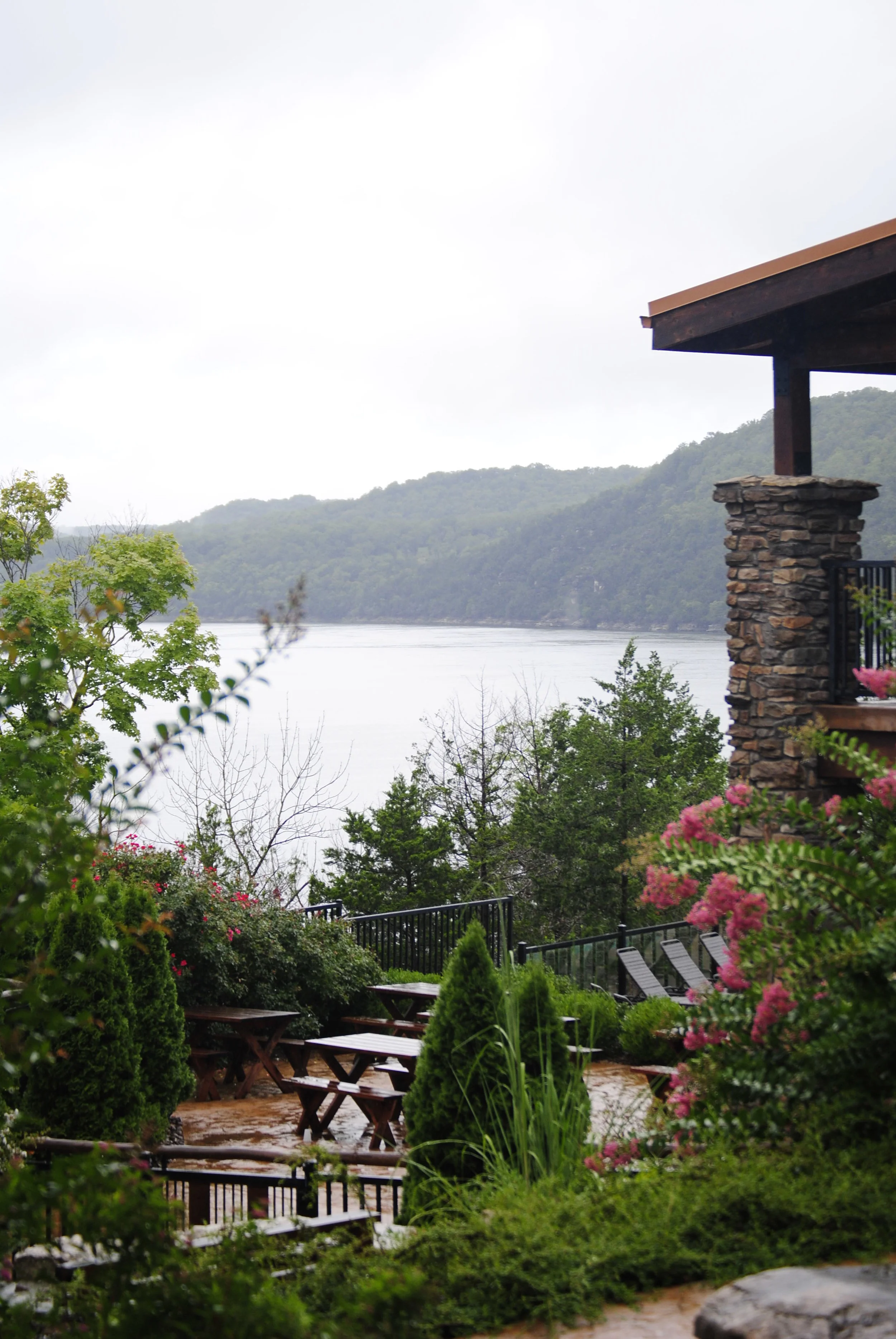 Finding Fiji in Missouri