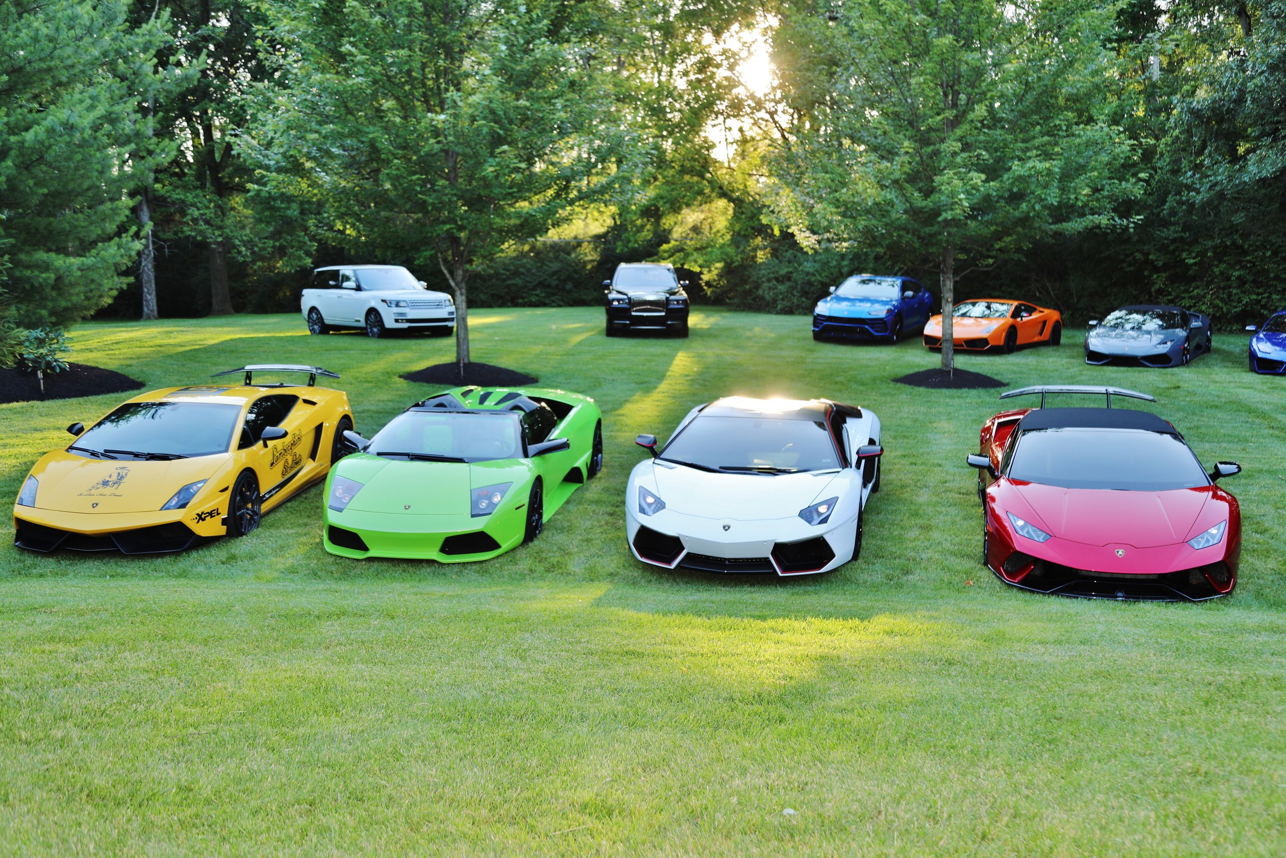 Lamborghini Party