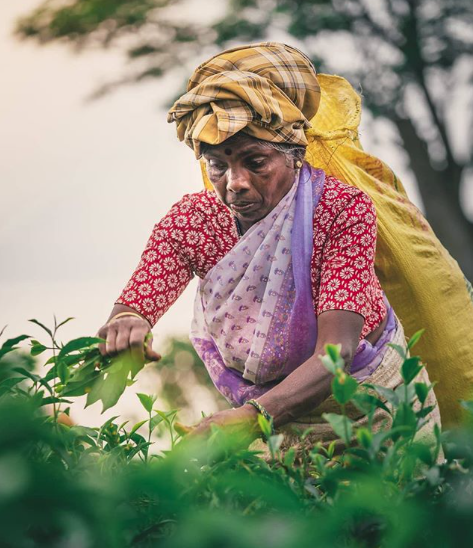 Johnny's Journeys: Exploring Sri Lanka