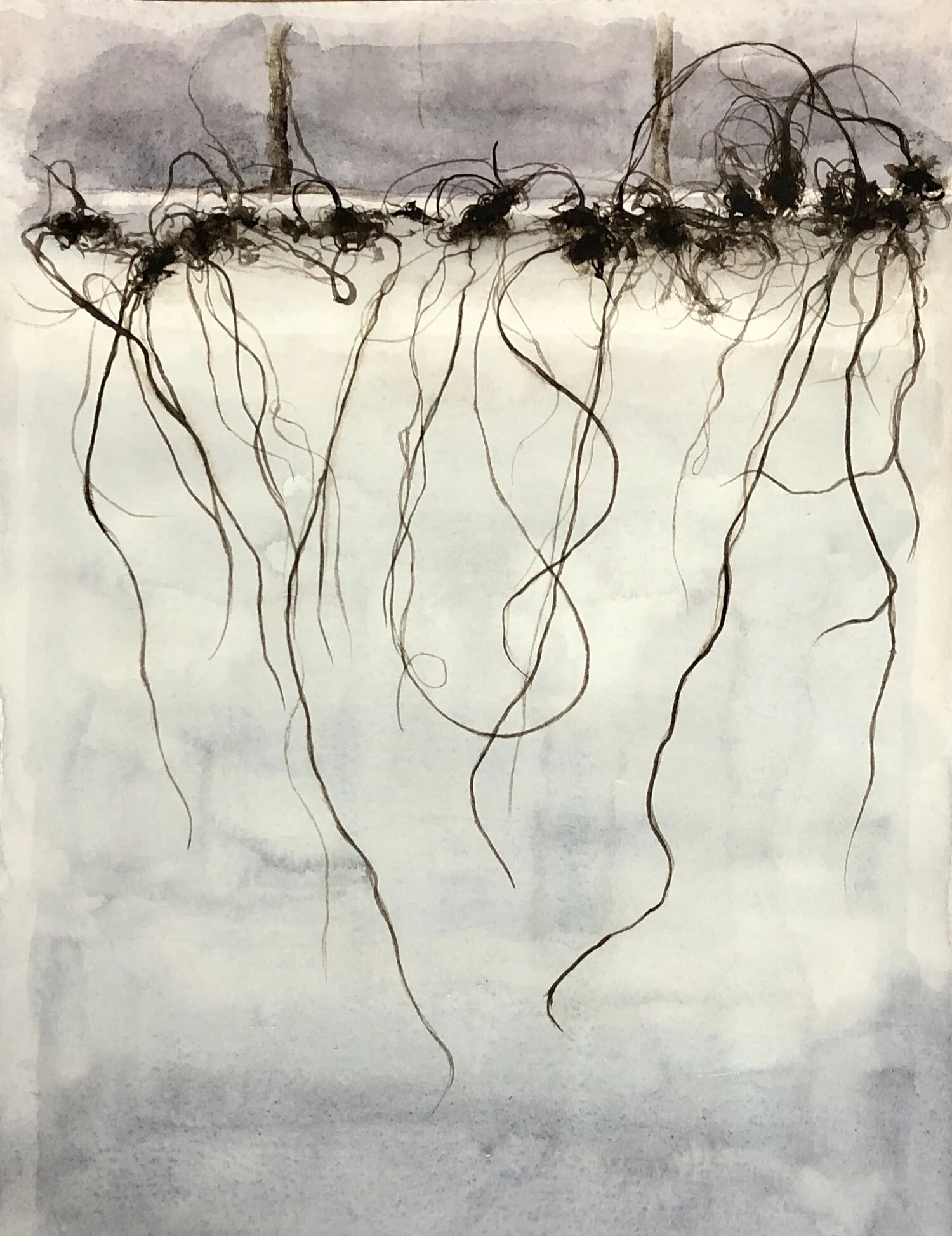 projects + gallery Announces Stretch Marks