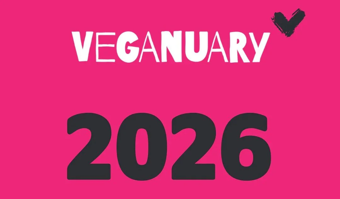 This January Celebrate Veganuary at Clementine's Ice Creamery