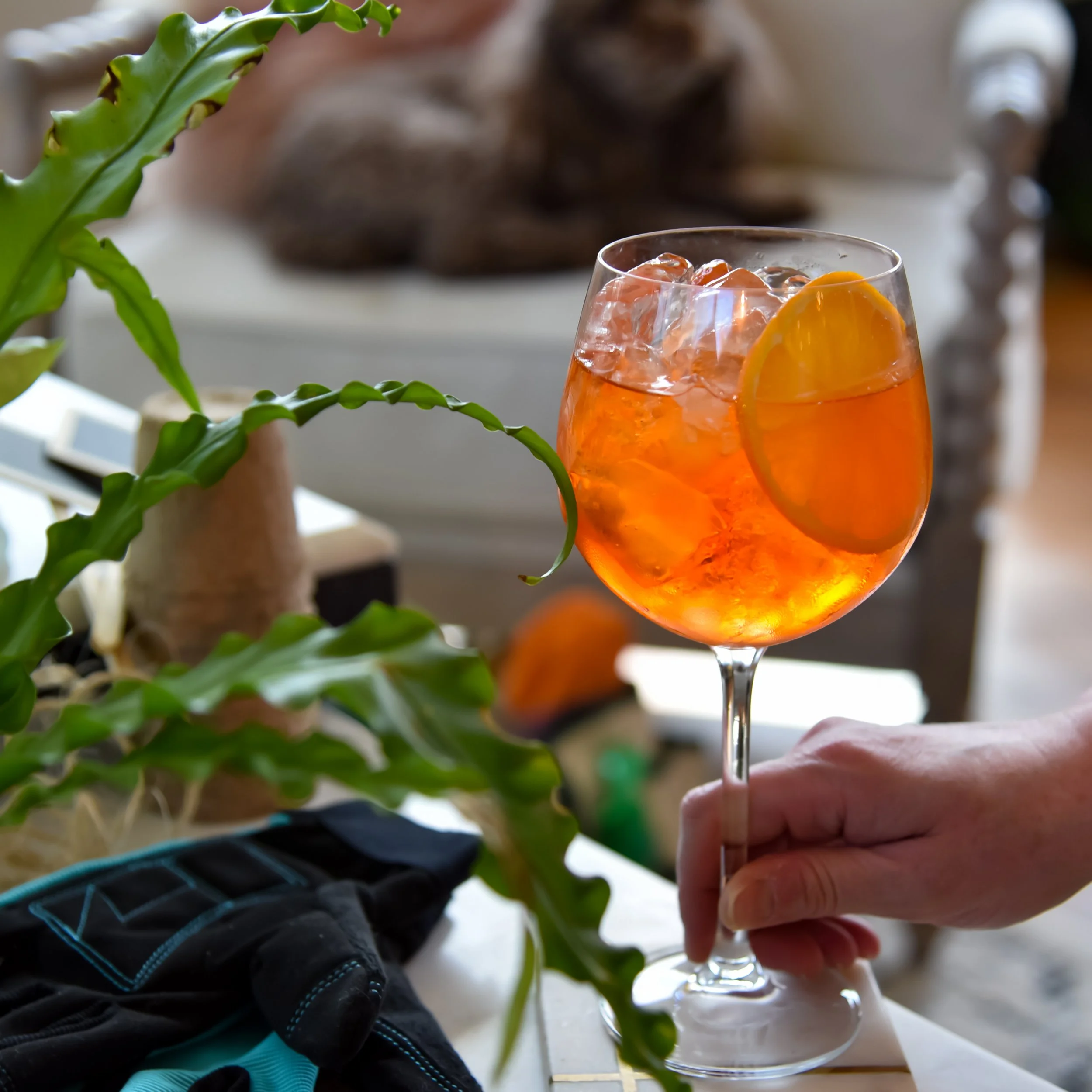 Spring Cocktails- Let’s Set A Spritz Bar!