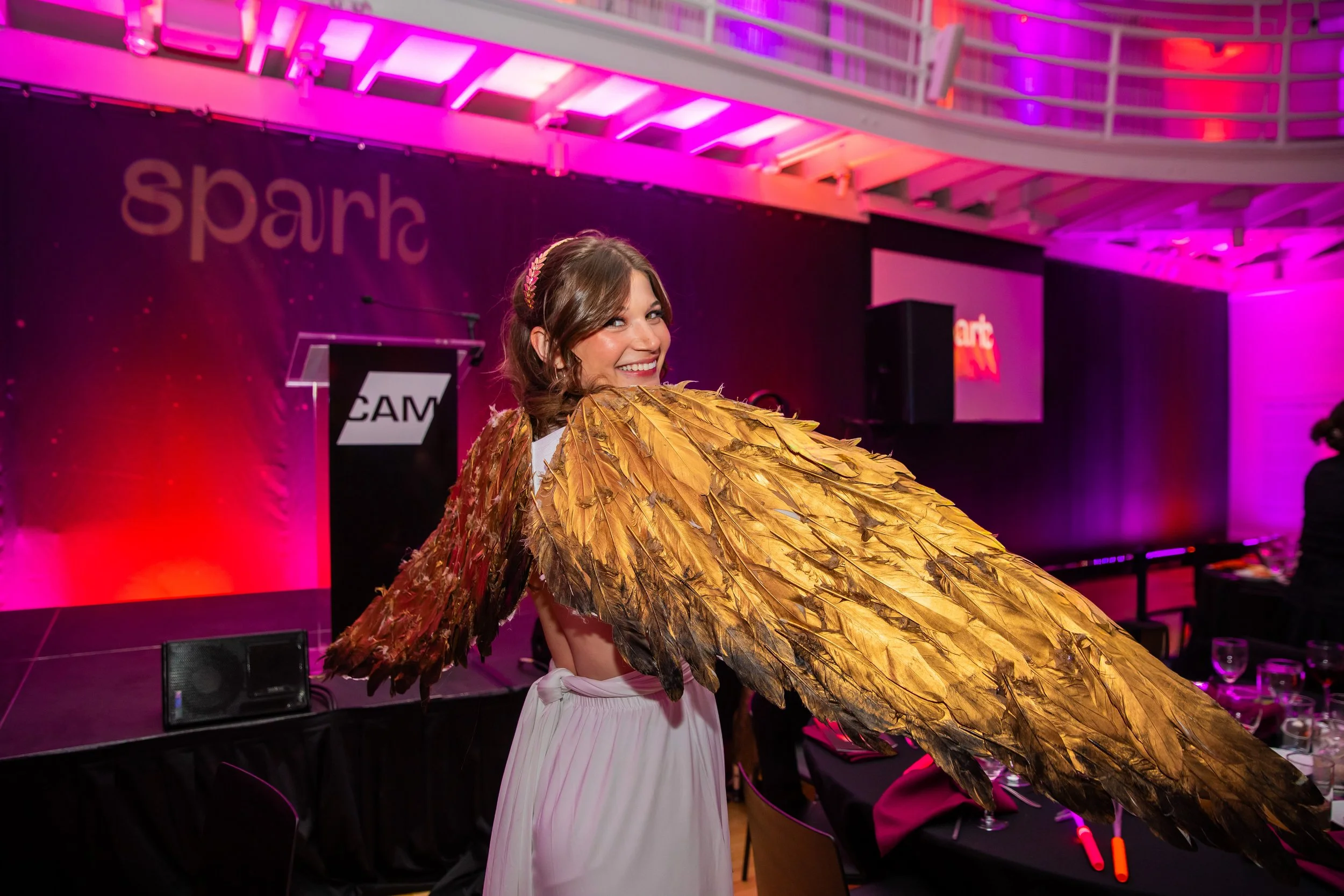 St. Louis Sparkled for the 2026 CAM Gala