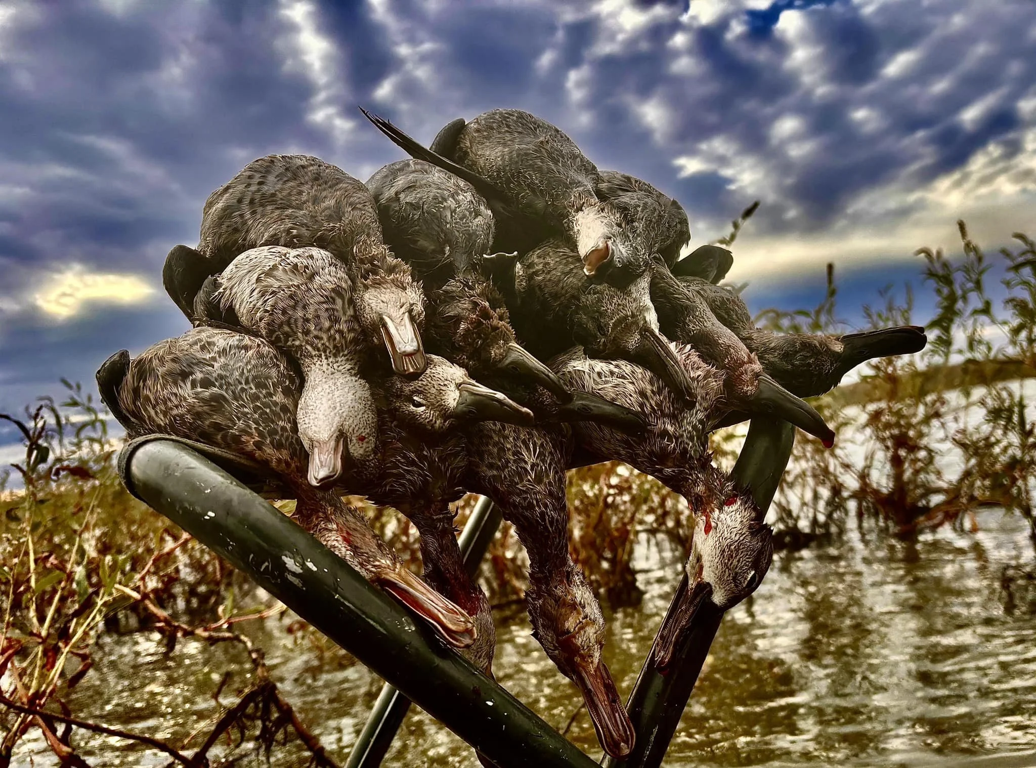 Ford County Teal Hunt 9-20-2025