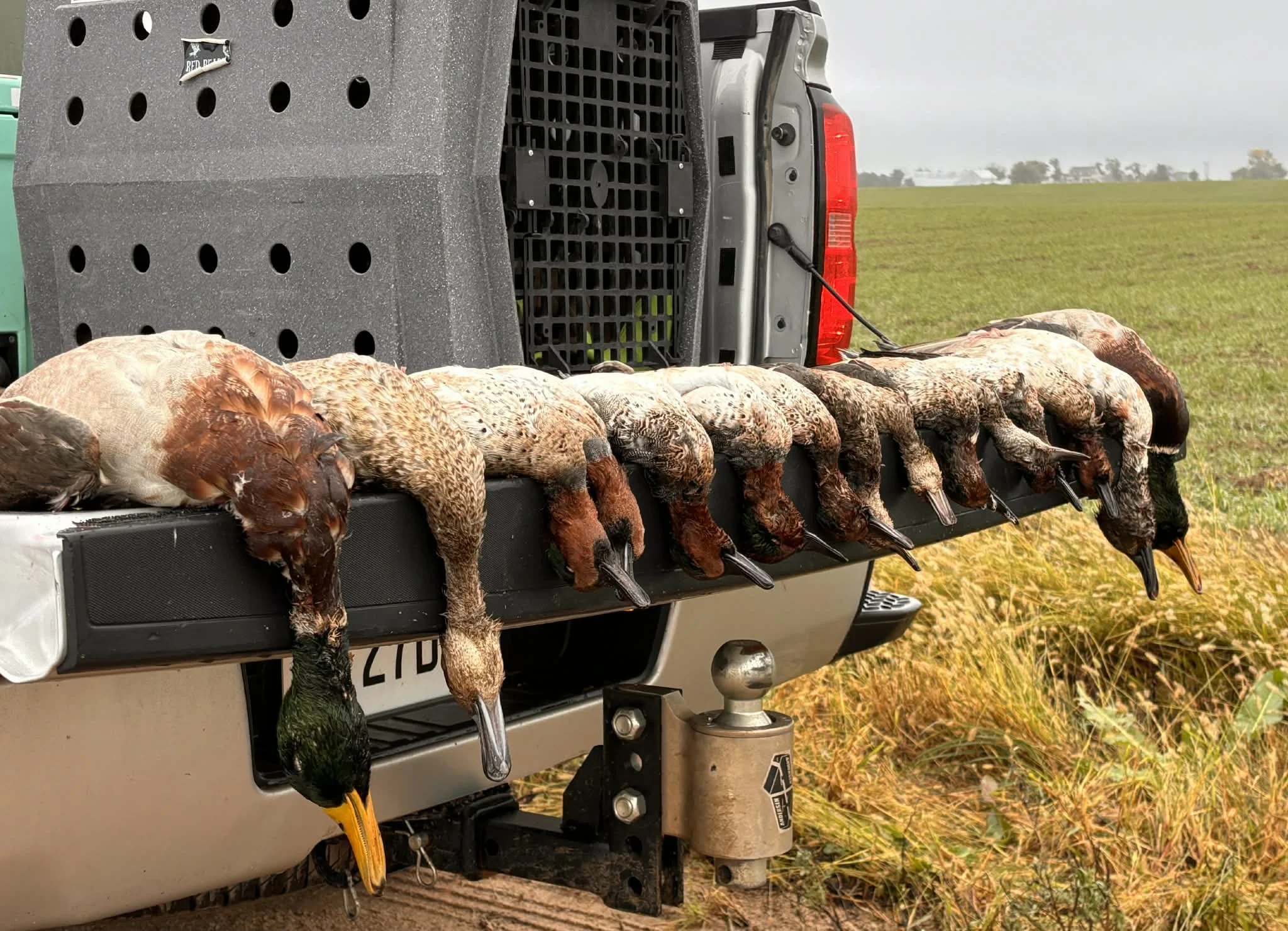 Milford Area Youth Waterfowl hunt 11-22-2025