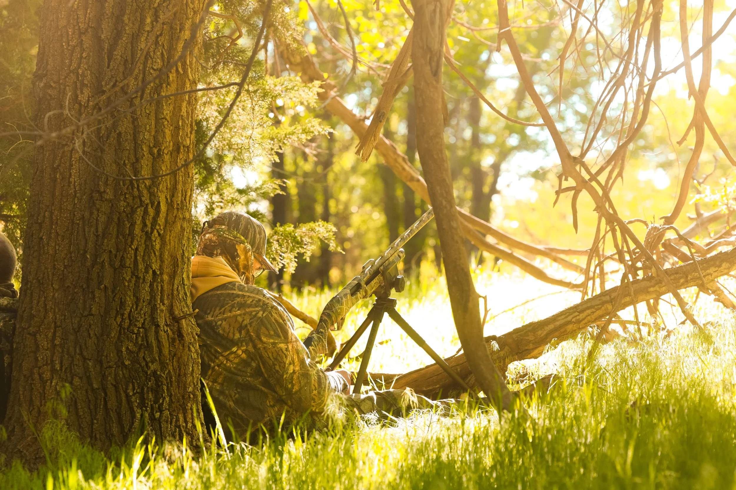 Telling th whole story.JPG