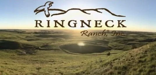 Ringneck Ranch Upland Hunt near Tipton, KS 2-7-2026