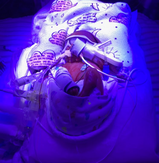 La historia de Xander - Por Sheila Daly&nbsp;