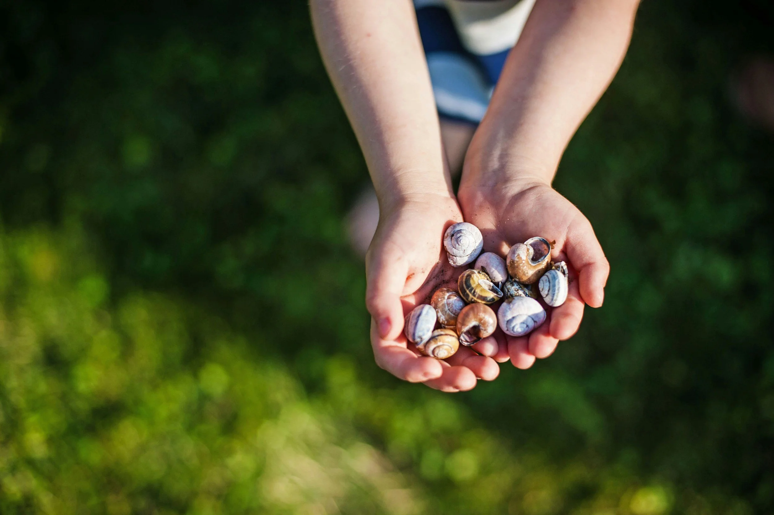Helping Families Thrive from Birth to Five