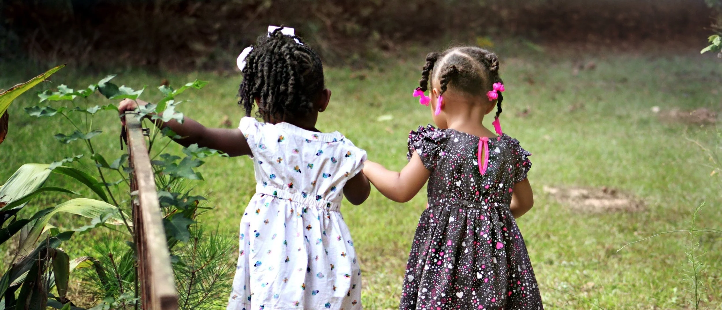 About — Birth to Five Illinois