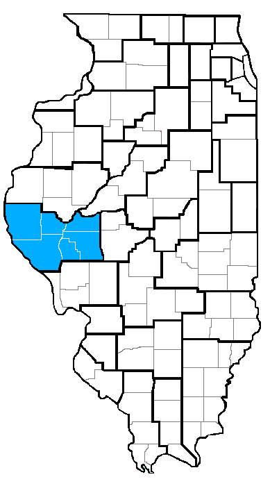 A map outlining all Regions in Illinois by using black lines. Region 1 is highlighted in blue on the map. All other Regions are colored in white.