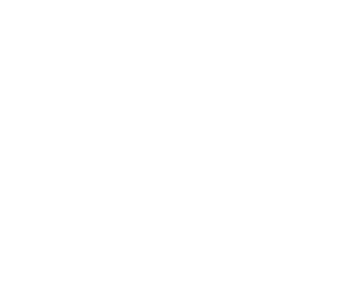 The Sports Bra
