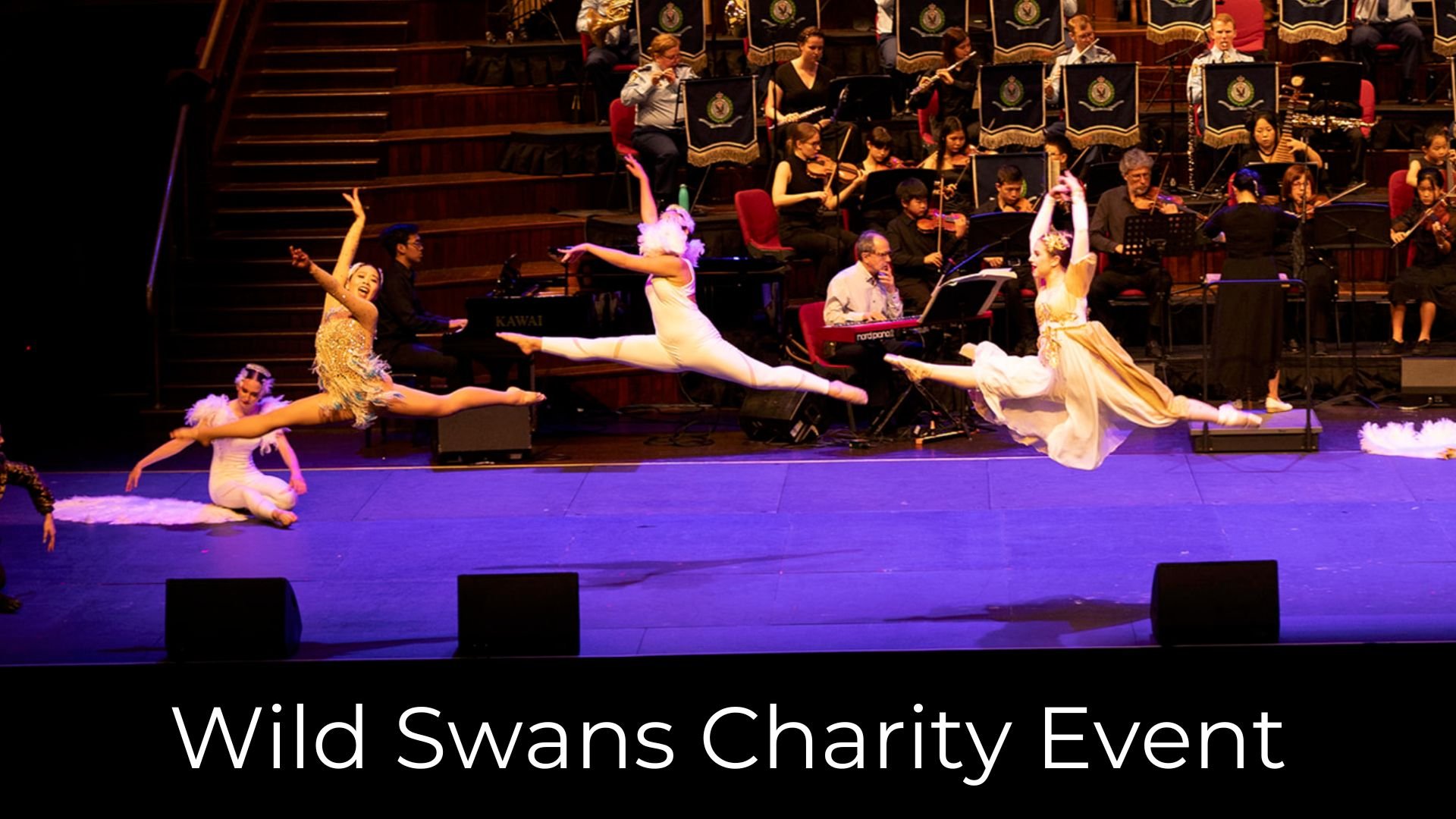 Wild Swans Ballet Charity Concert