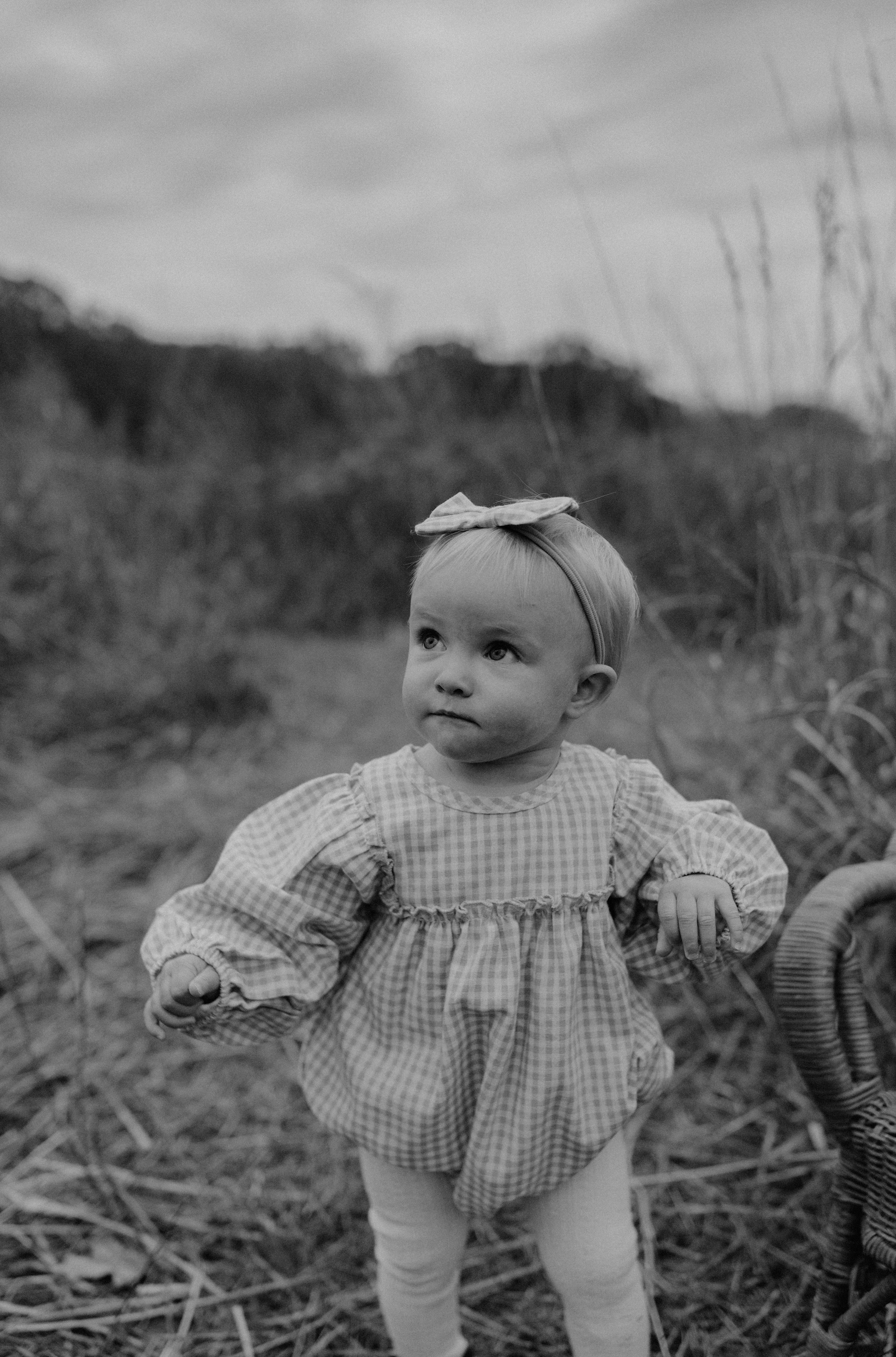 Grand Rapids family photographer