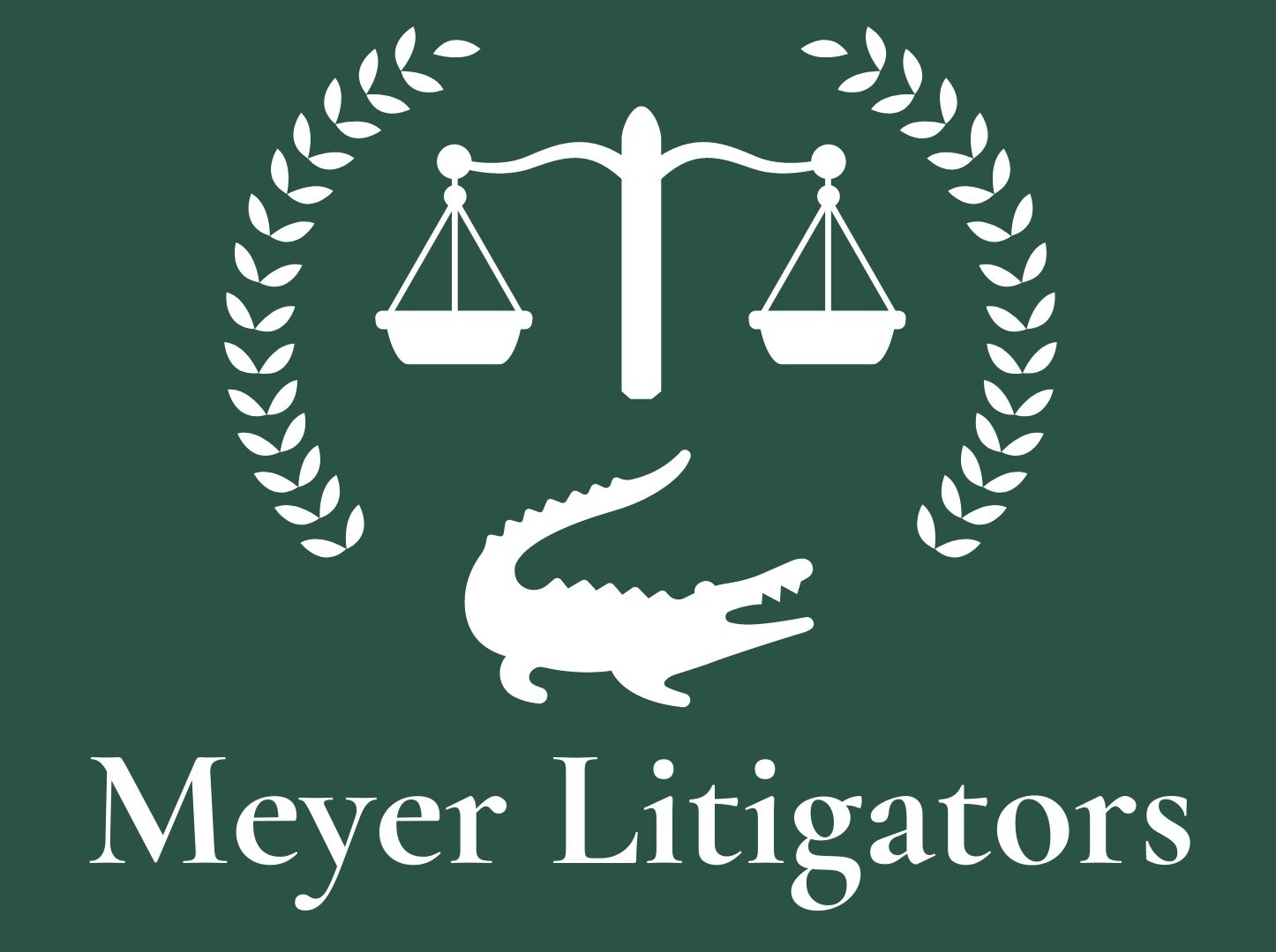 Meyer Litigators