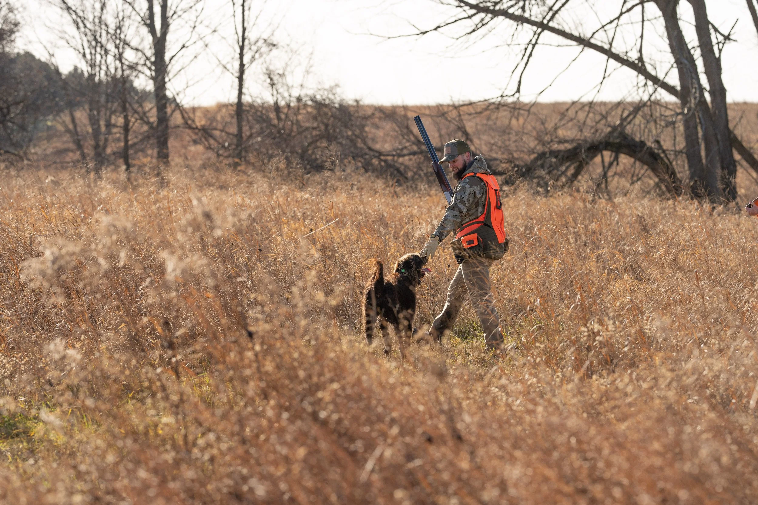 Versatile Gundog Training