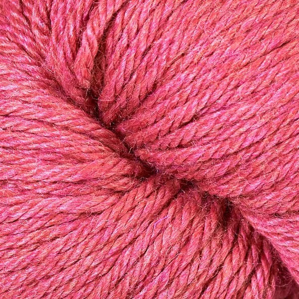 VC 61194 Rhubarb.jpg