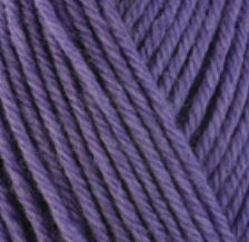 UW 33146 Aster.png